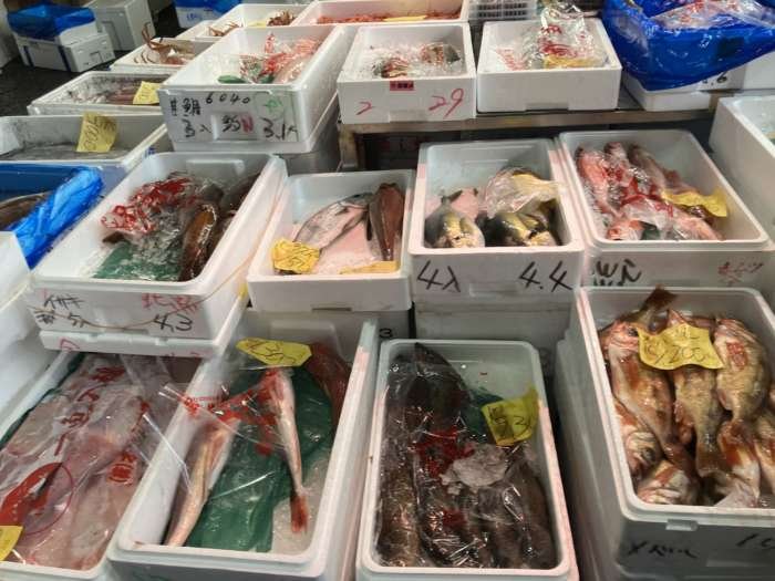 🐟 도쿄도 중앙 도매 시장 아다치 시장 (도쿄토 주오오로시우리시조 아다치시조)